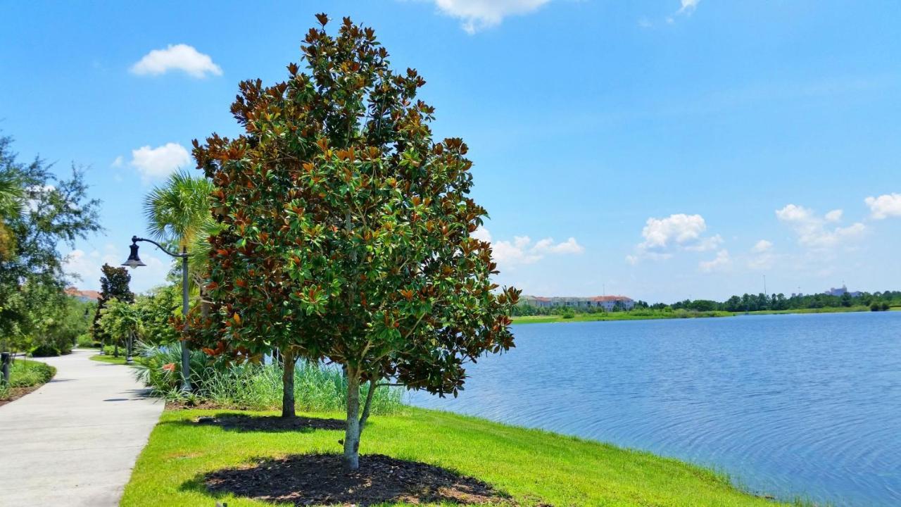 Majestic Holiday أورلاندو المظهر الخارجي الصورة
